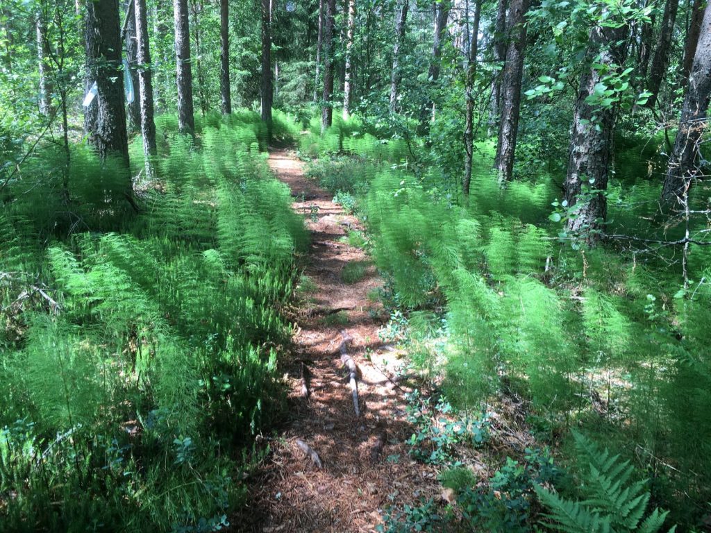 Marttila wilderness trails