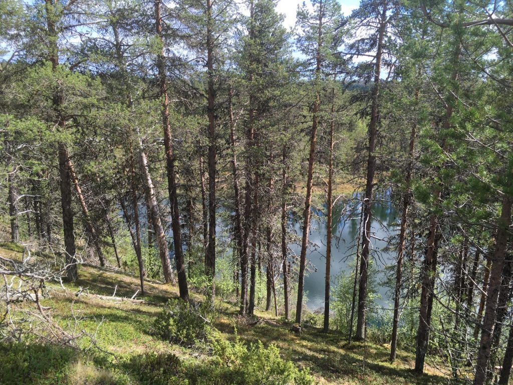 Sininenjärvi