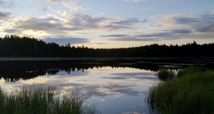 Liesjärvi Kaksvetinen evening sky