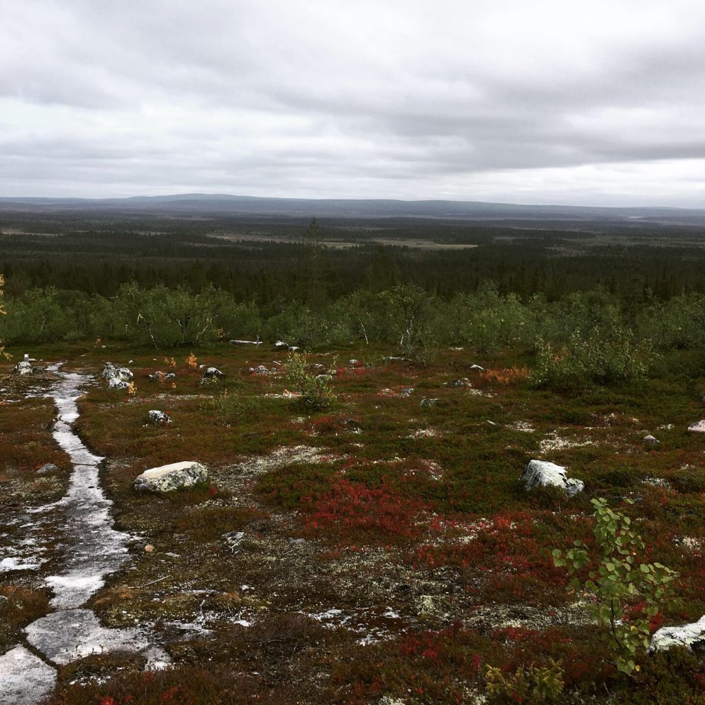 Puljutunturi view in August