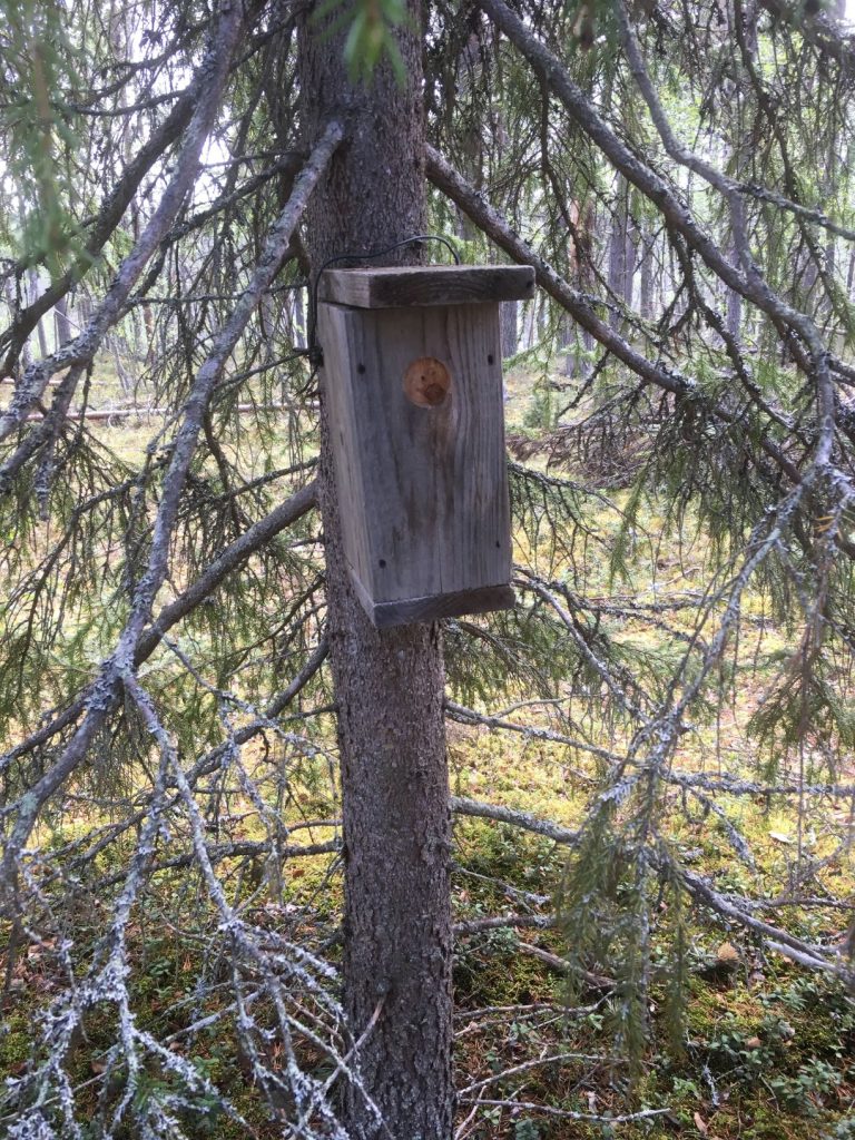 Geocache in a birdhouse