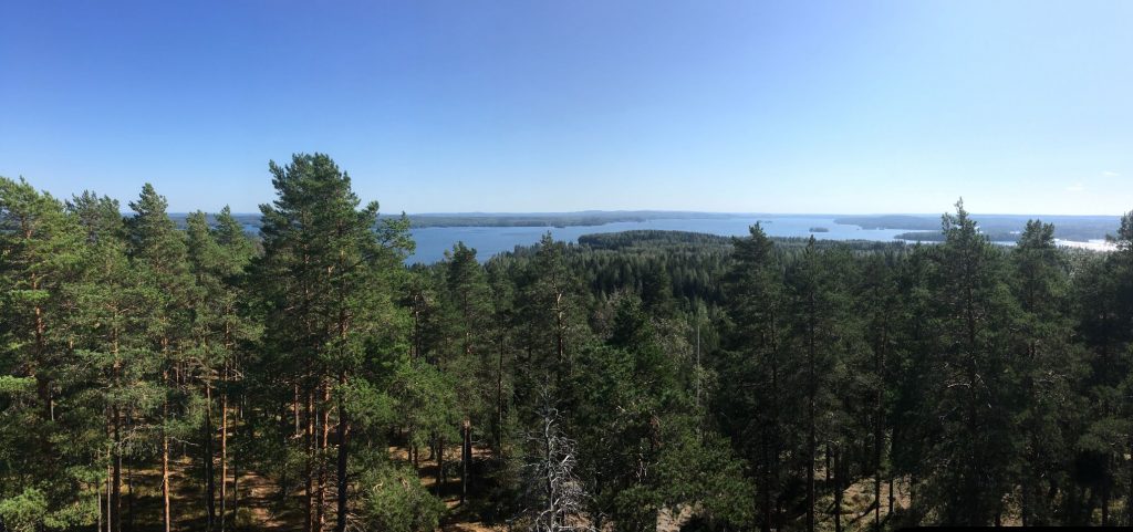 Landscape in Haralanharju Kangasala