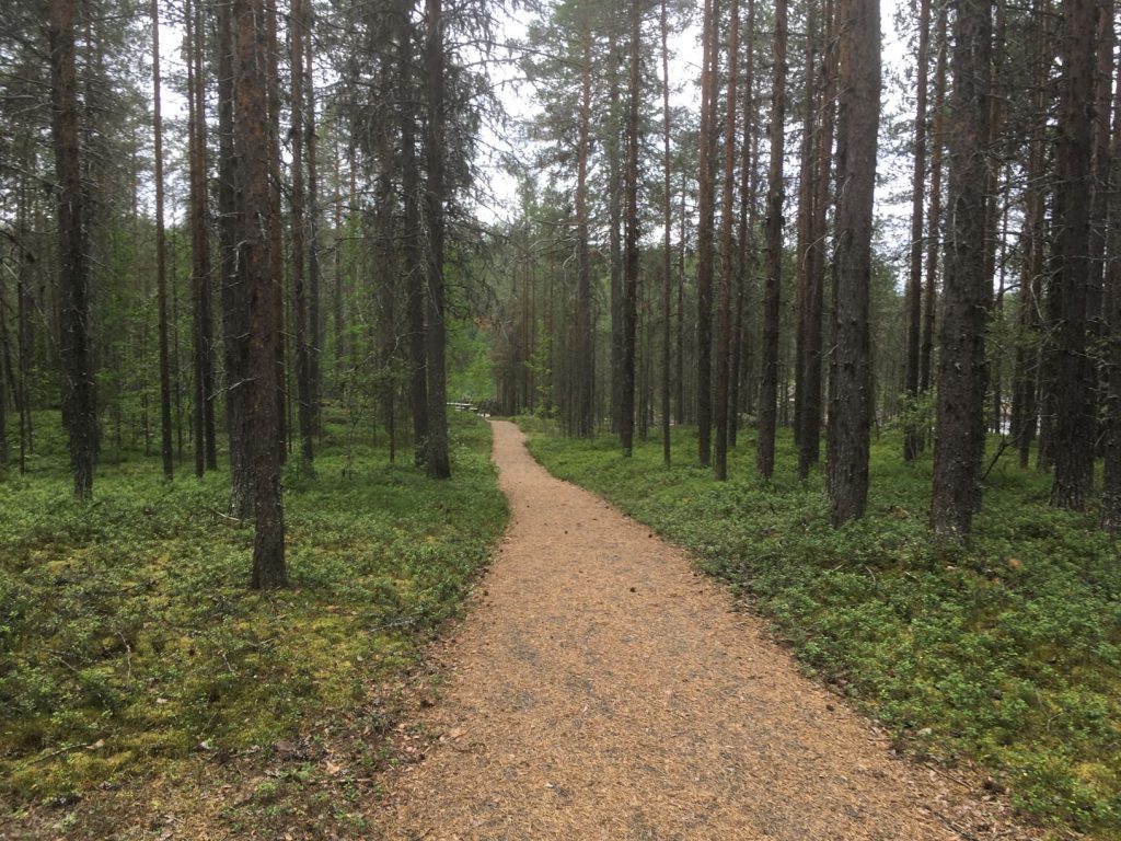 Molkoköngäs path