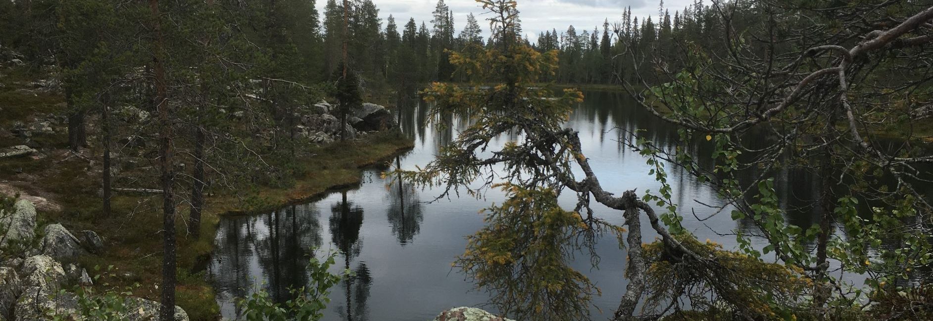 Ruoppaköngäs
