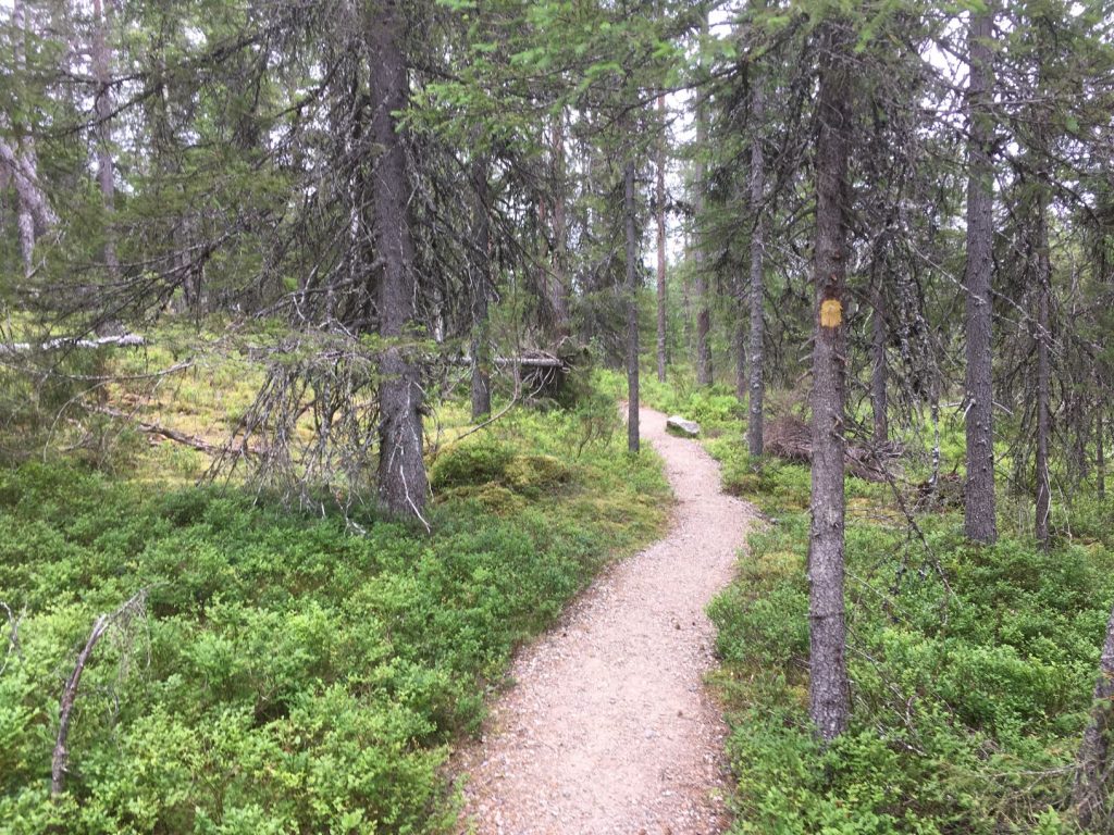 Vattukuru nature trail at Syöte National Park