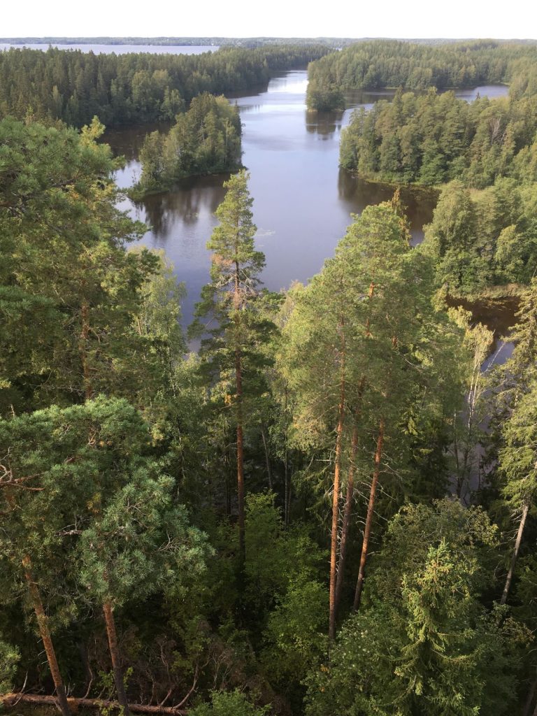 View from Kaukolanharju observation tower in Saari Folk Park