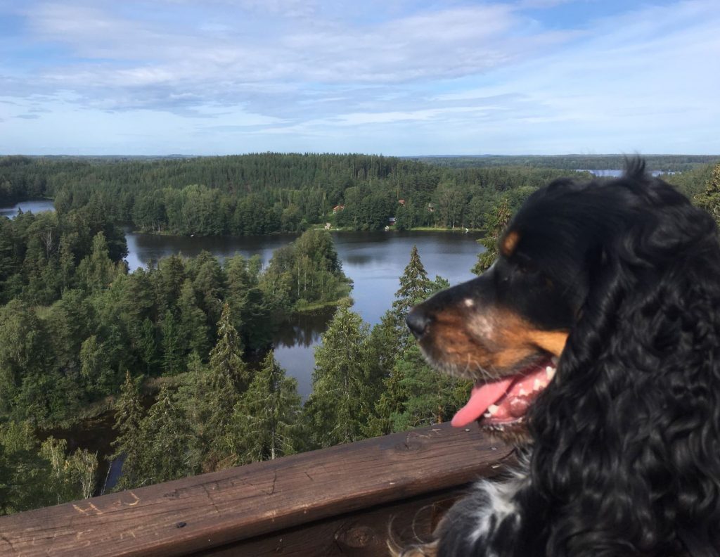 Tessa at Kaukolanharju observation tower