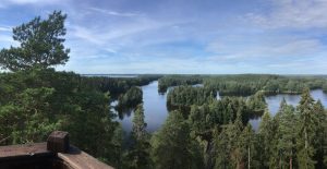 View from Kaukolanharju observation tower in Saari Folk Park