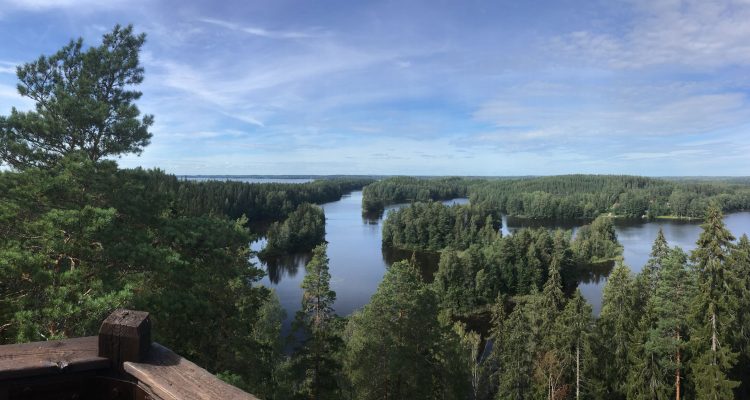 View from Kaukolanharju observation tower in Saari Folk Park