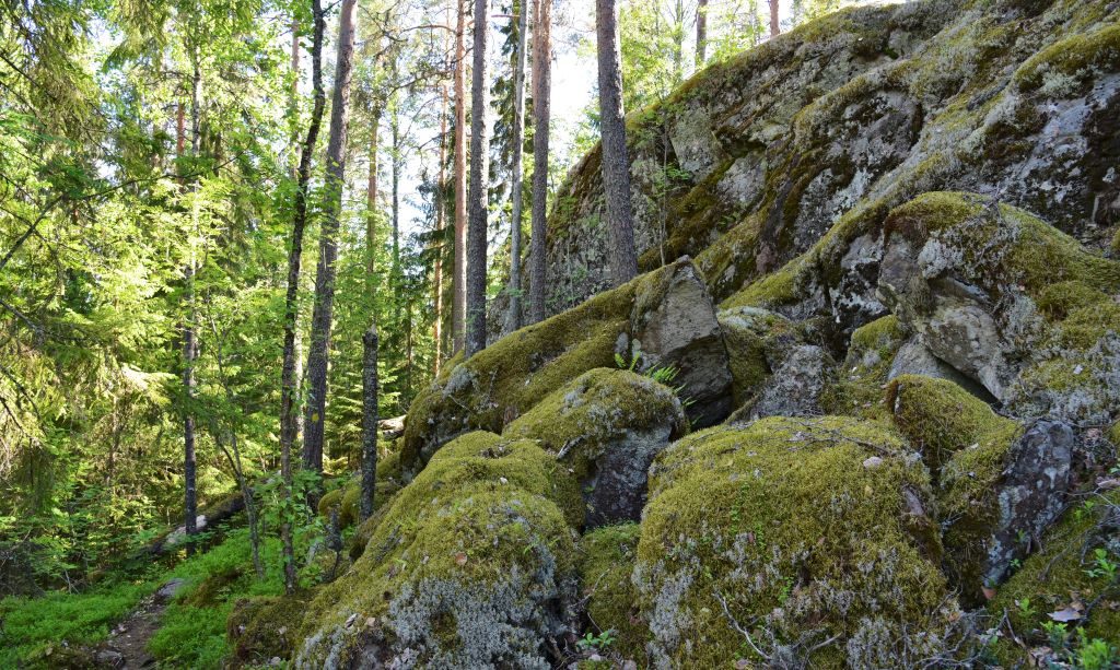 Nature connectedness through mindfulness moments