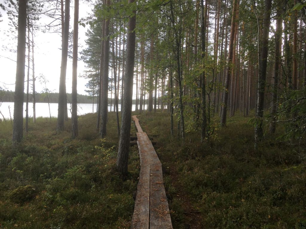 Duckboards around Luutalammi lake