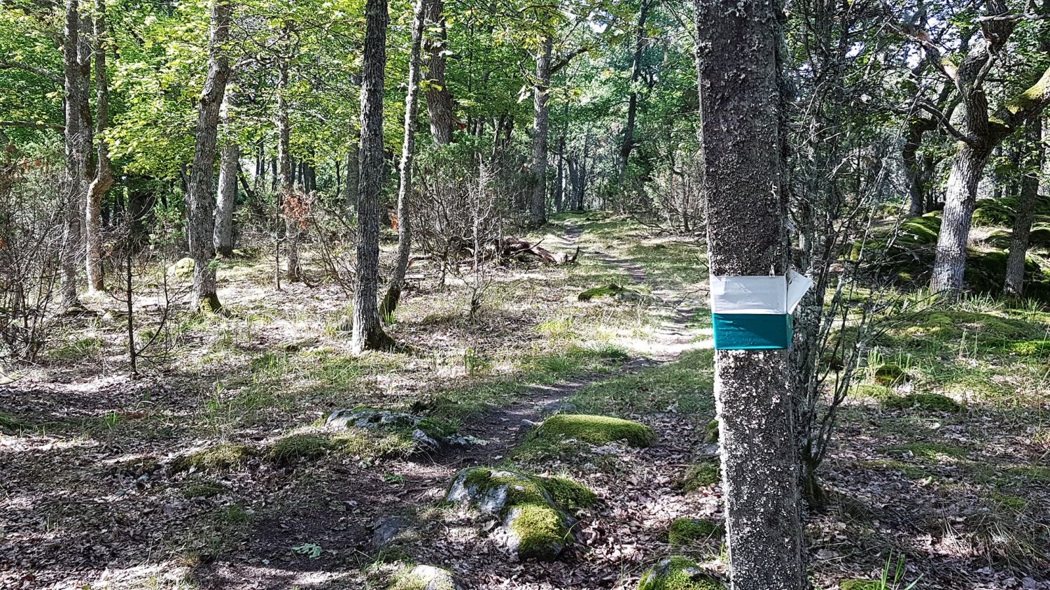 Nature trail in Elisaari