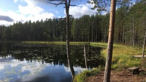 Komio Nature Reserve in Loppi