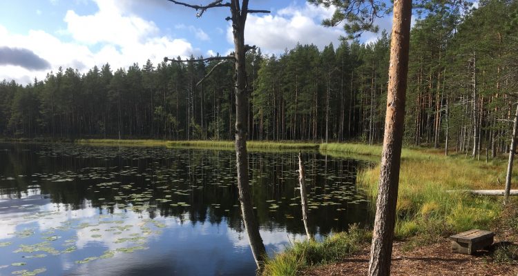 Komio Nature Reserve in Loppi