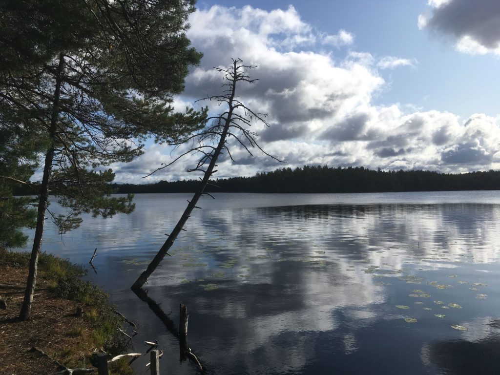 Luutalammi lake in Komio