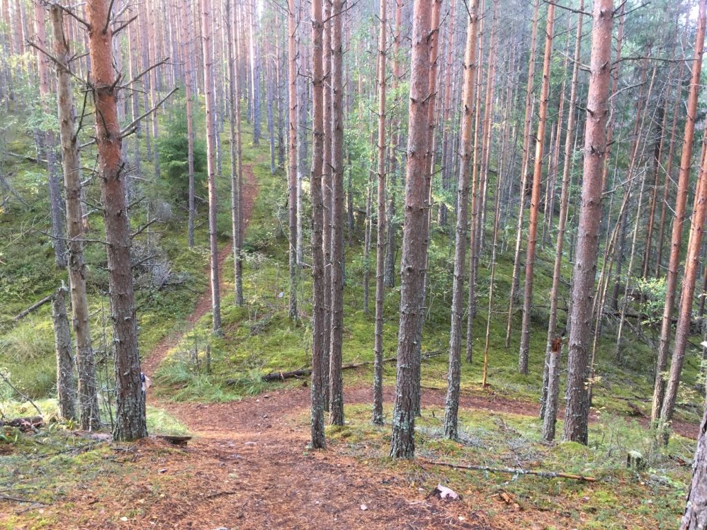 Samo trail in Komio Nature Reserve