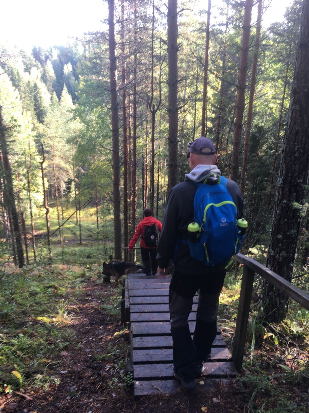 Ridges, ponds and bogs at Komio Nature Reserve Out in the Nature