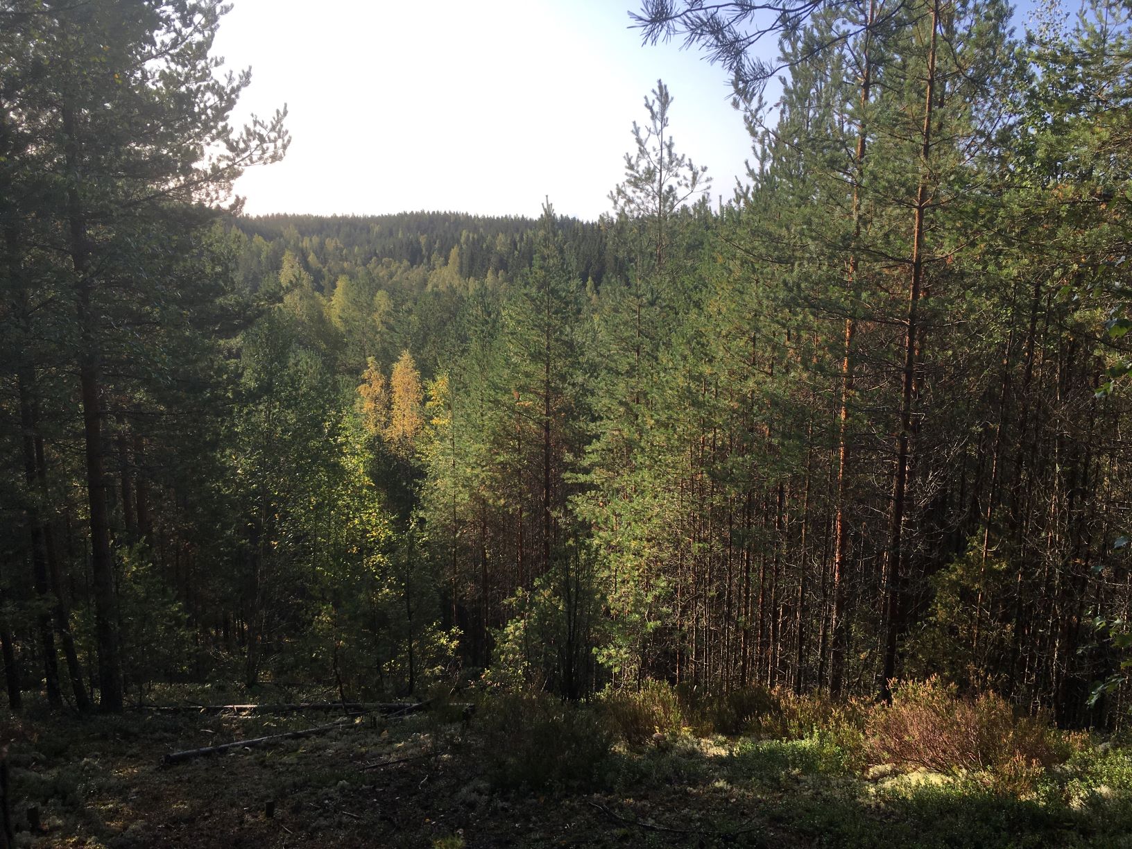 Ridges, ponds and bogs at Komio Nature Reserve Out in the Nature