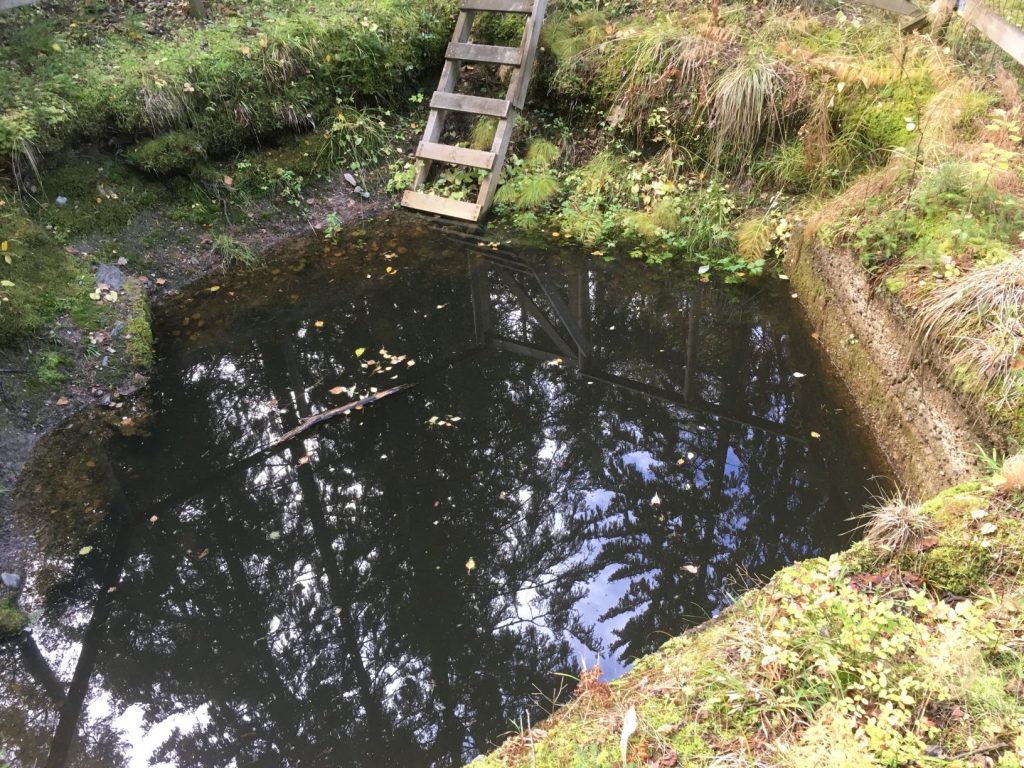 Kukonlähde spring