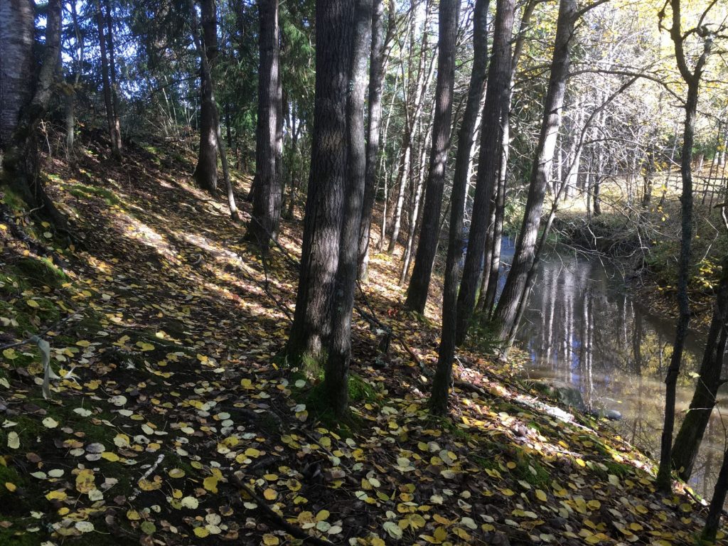 Paattinen nature trail