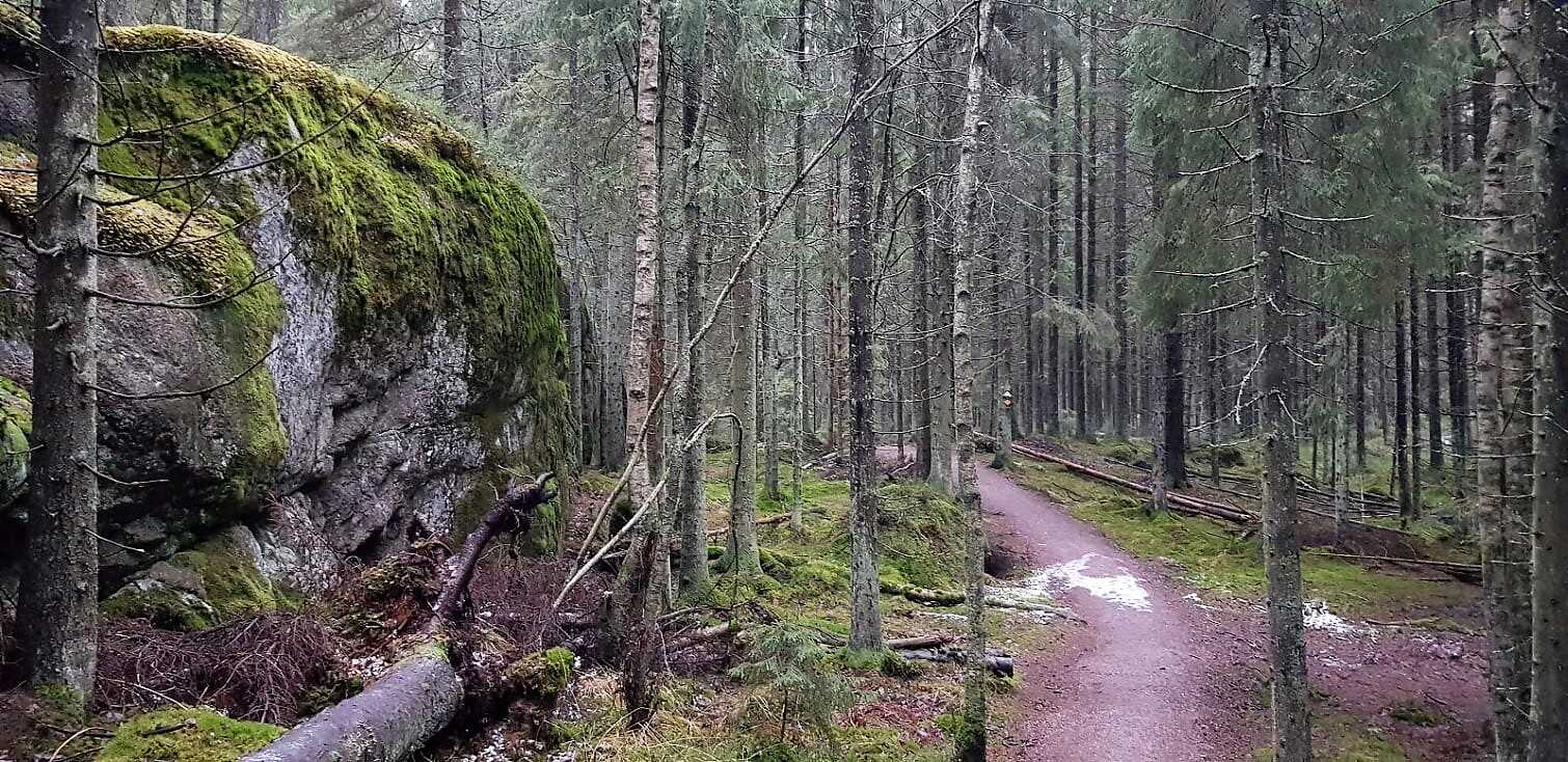 Sipoonkorpi trail view