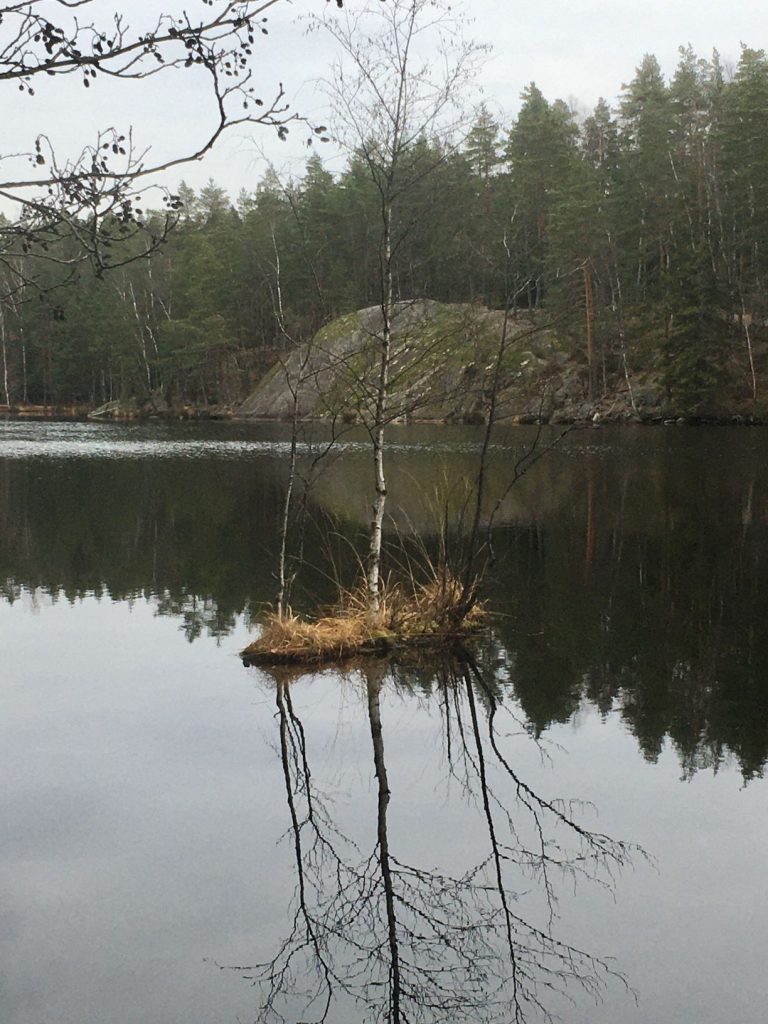 Little island on Kaitalampi lake