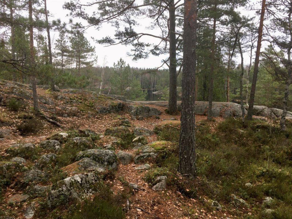 Rocky terrain at Kaitalampi