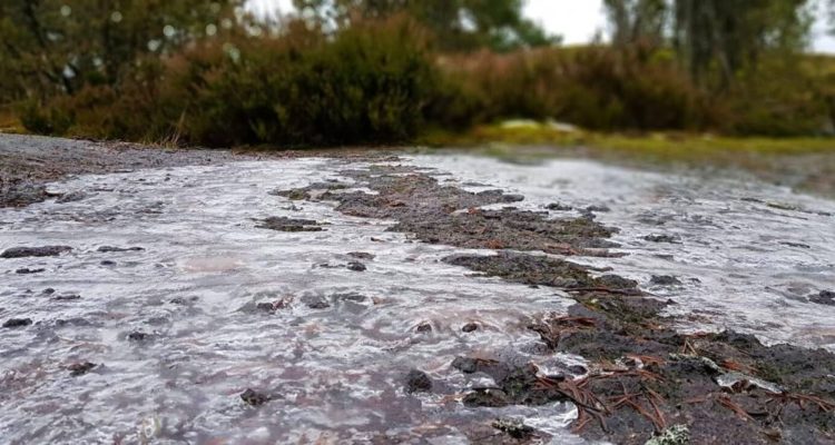 Sipoonkorpi National Park