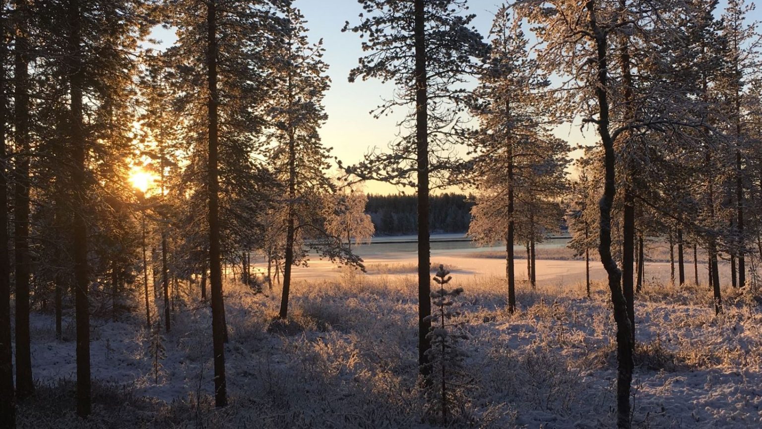 Harjureitti in Southwestern Finland is known as Little Lapland