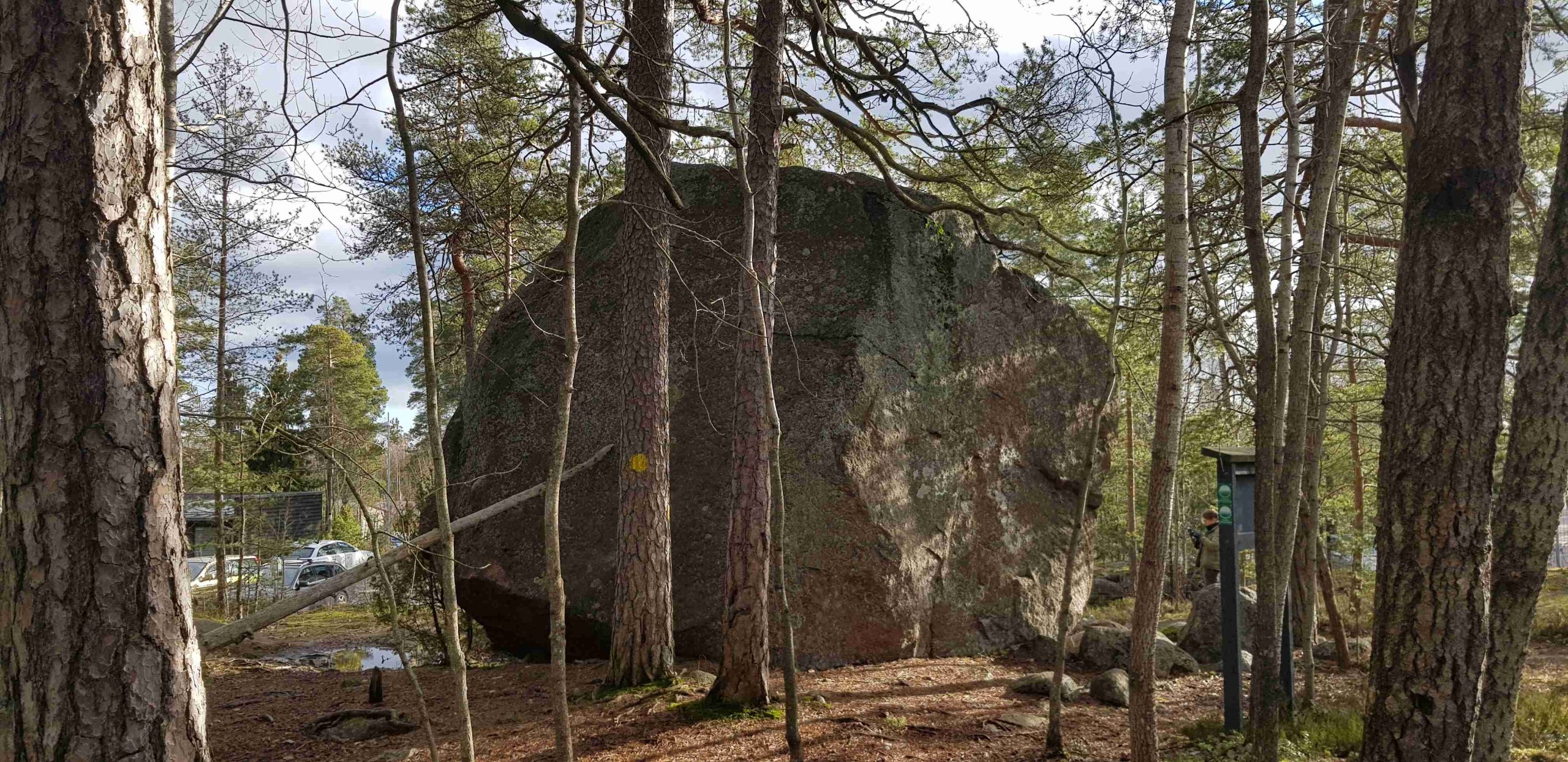 Hanikka erratic