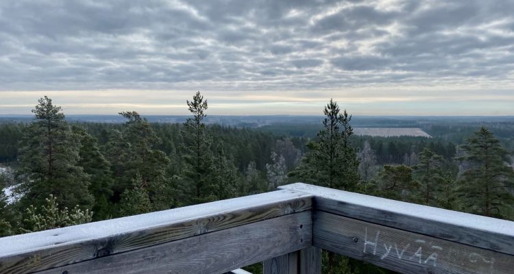 Hevonlinna observation tower view