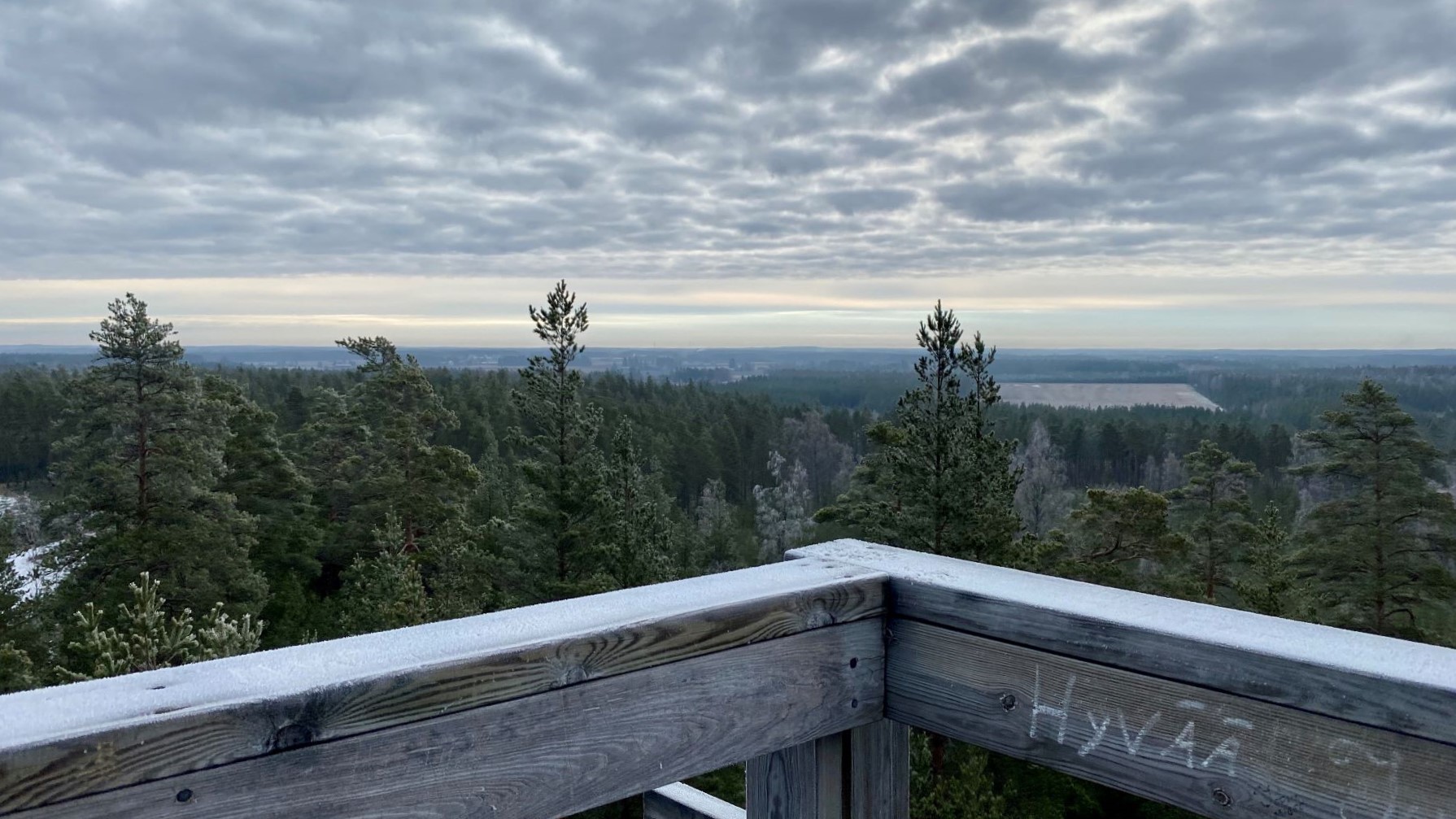 Hevonlinna observation tower view