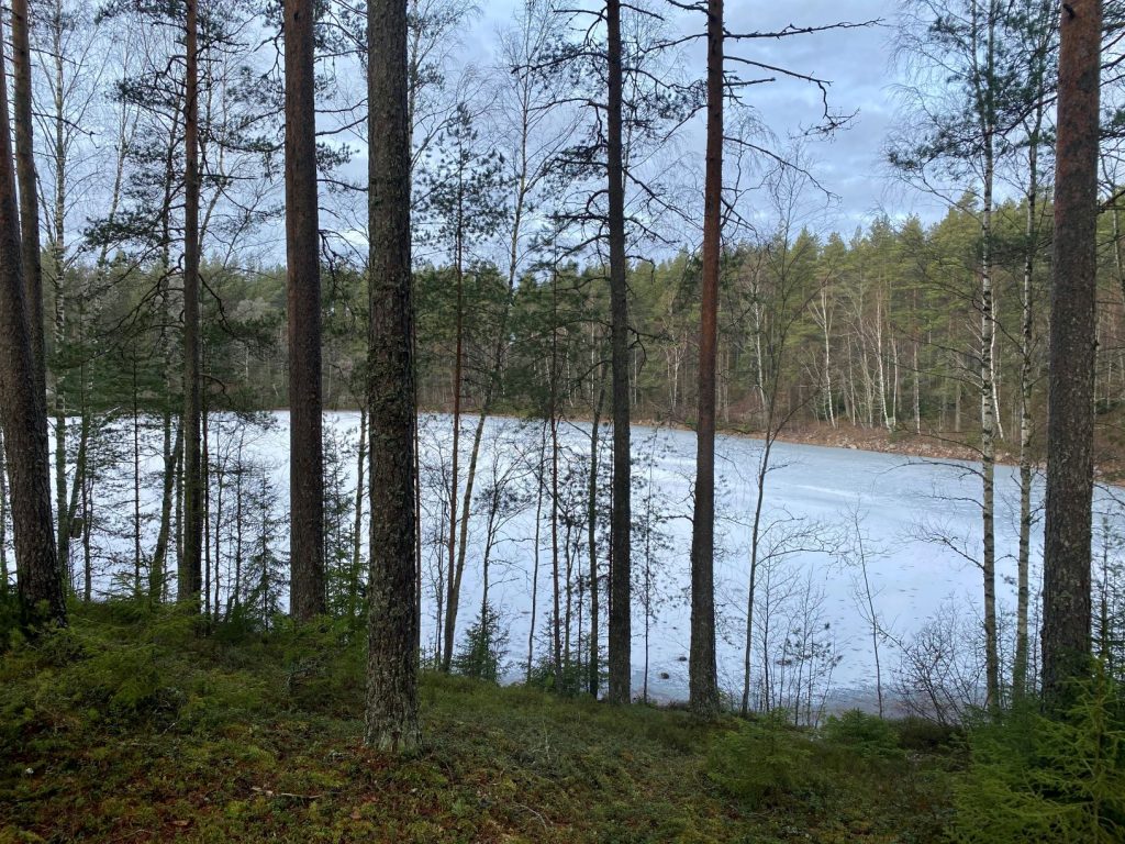 Hevonlinnanjärvi lake