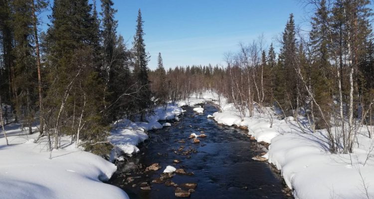 Out in the nature quiz - Traces of ice age