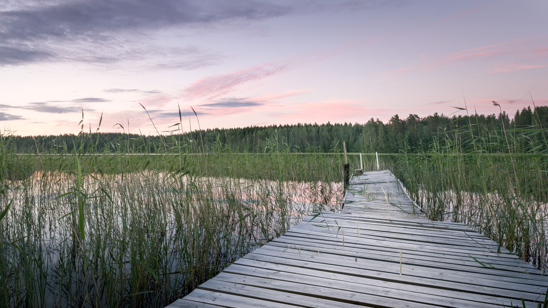 De-stress out in the nature