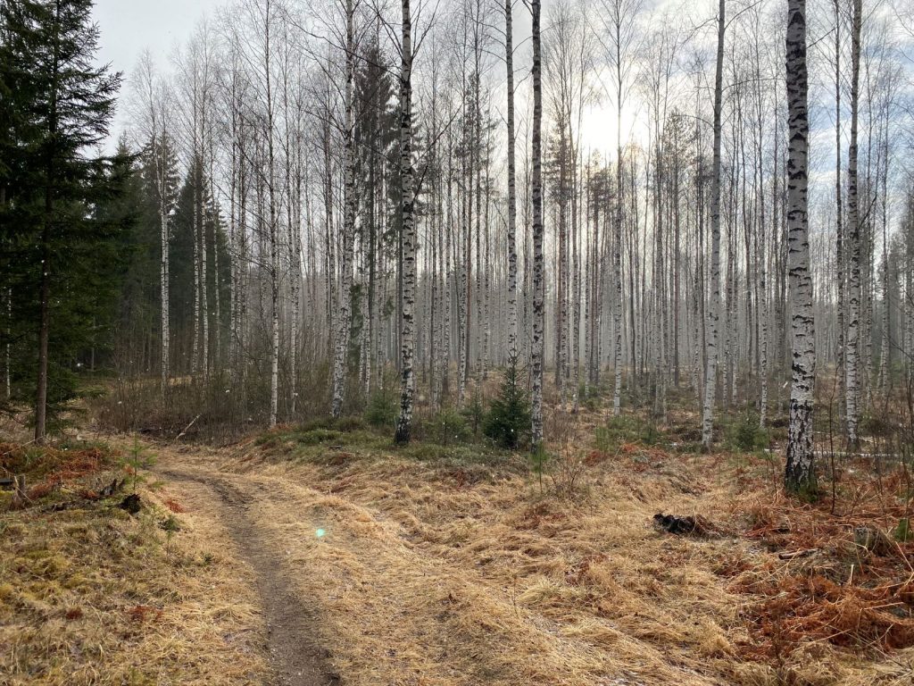 Hovimäki-Esakallio trail 2