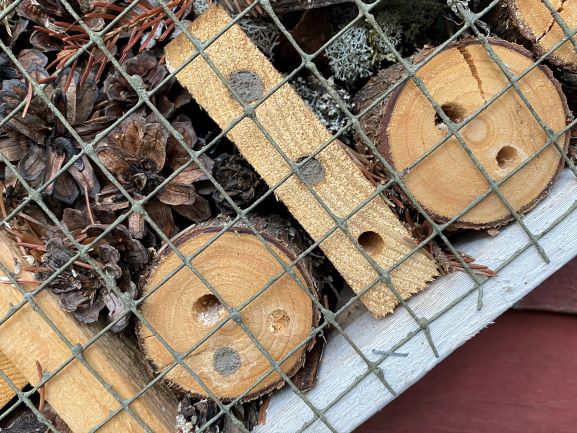 How to build an insect hotel for the garden