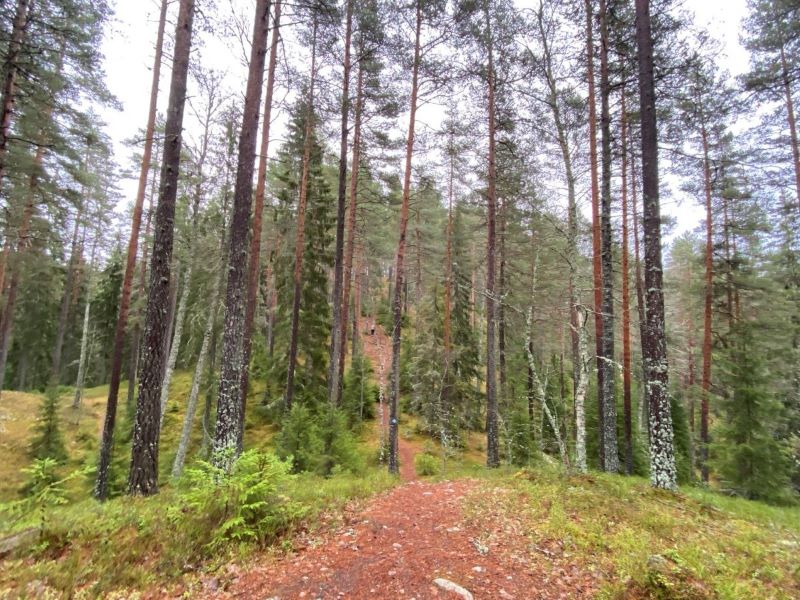 Hyyppärä nature trail