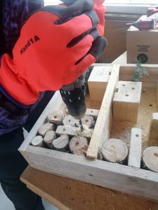 Building insect hotel