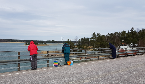 Bridge fishing Inkoo