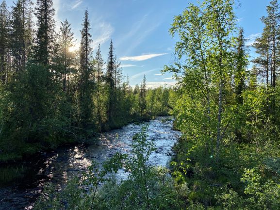 River in Lapland