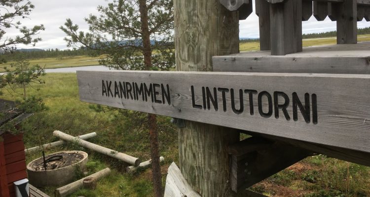 Akanrimpi bird watching tower in Kittilä