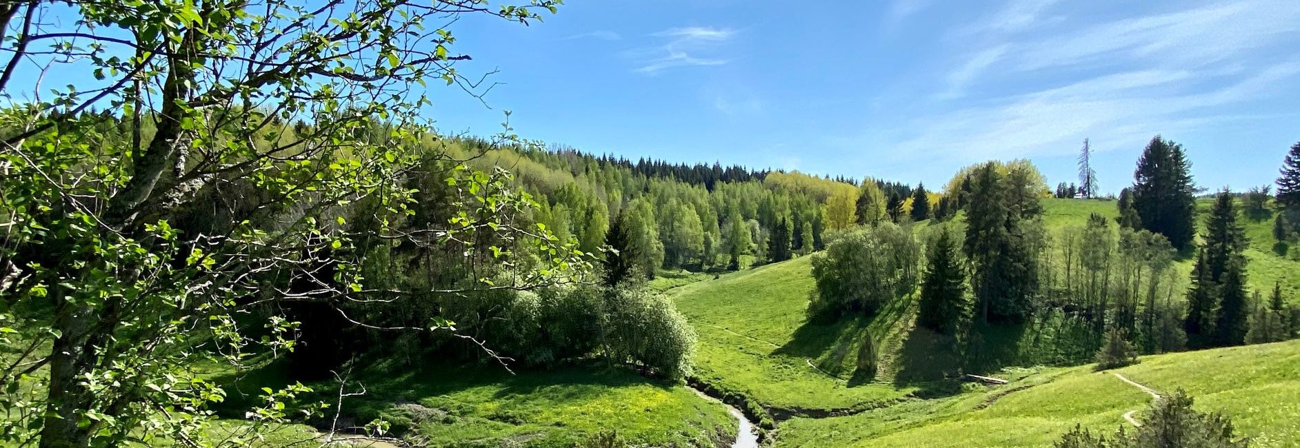 Häntälä ravine