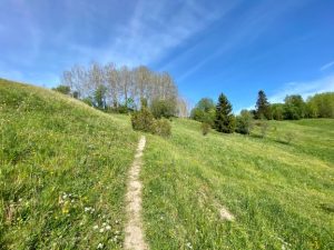 Häntälä ravine nature trail