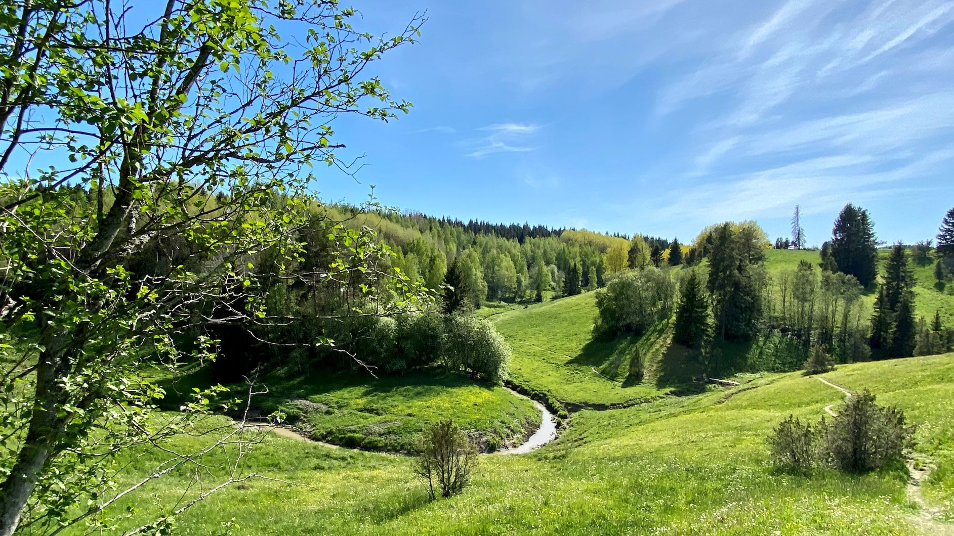 Häntälä ravine