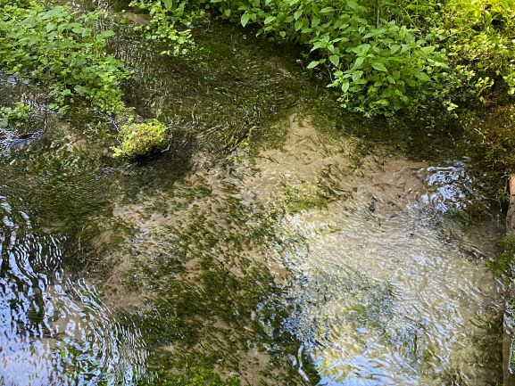 Natural spring Ryövärinkuoppa