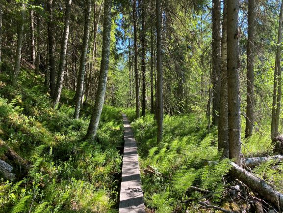 Nature trail Ryövärinkuoppa