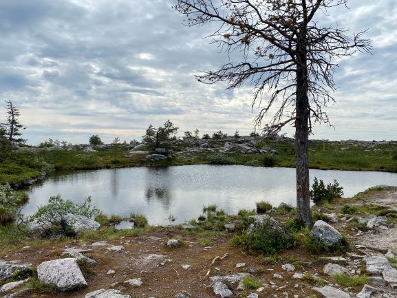 Särkitunturi lake