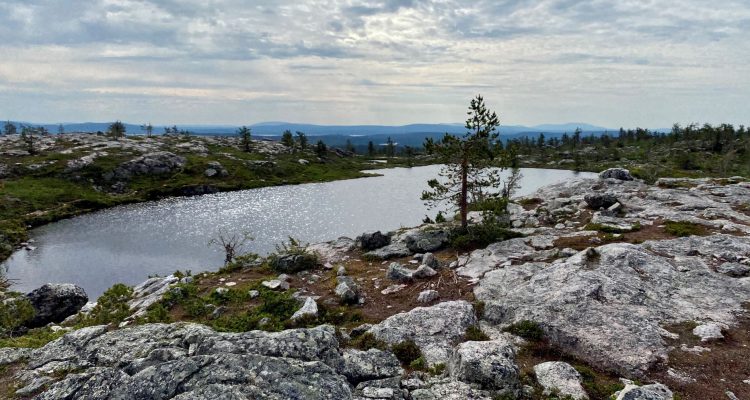 Särkitunturi view