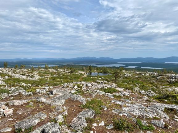 Särkitunturi view to Pallas